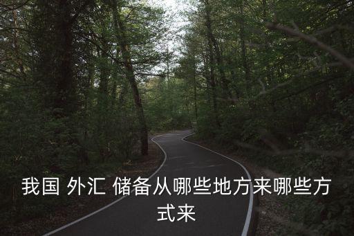 中國的外匯儲備的來源,外匯儲備來源及構成