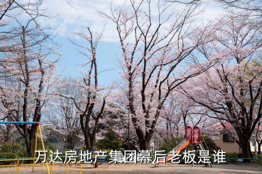 王健林投資韻達,投資韻達快遞需要多少錢