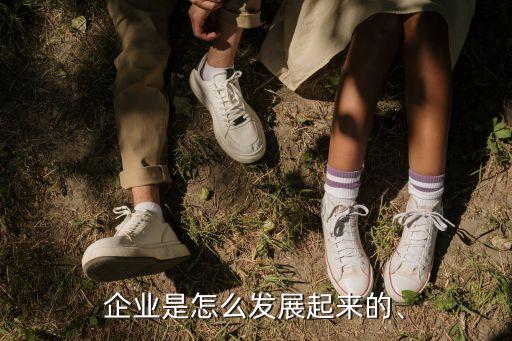 企業(yè)是怎么發(fā)展起來的、