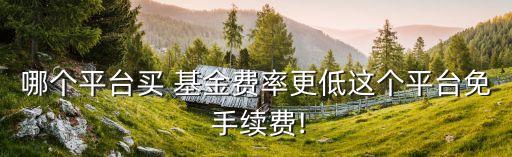 哪個(gè)平臺買 基金費(fèi)率更低這個(gè)平臺免 手續(xù)費(fèi)!