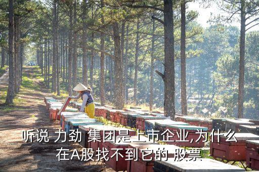 聽(tīng)說(shuō) 力勁 集團(tuán)是上市企業(yè),為什么在A股找不到它的 股票