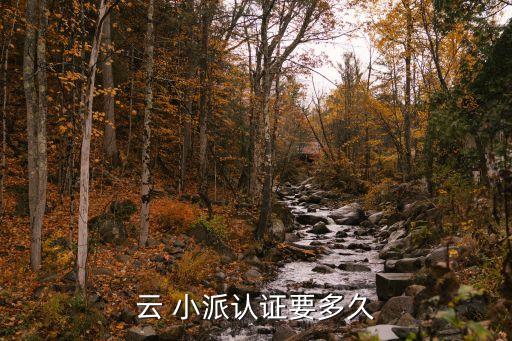 云 小派認證要多久