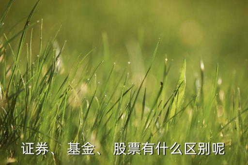 證券、 基金、 股票有什么區(qū)別呢