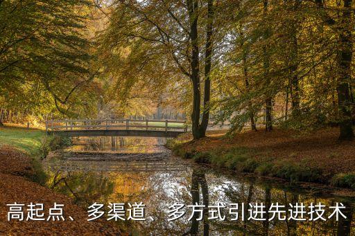 高起點、多渠道、多方式引進先進技術(shù)
