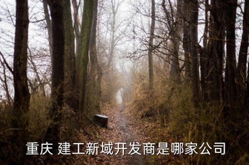  重慶 建工新域開發(fā)商是哪家公司
