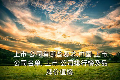 上市 公司有哪些要求,中國 上市 公司名單, 上市 公司排行榜及品牌價值榜