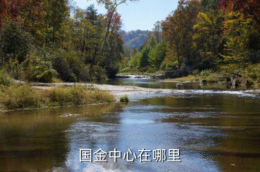 國(guó)金中心在哪里