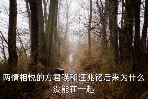 兩情相悅的方君瑛和汪兆銘后來(lái)為什么沒(méi)能在一起