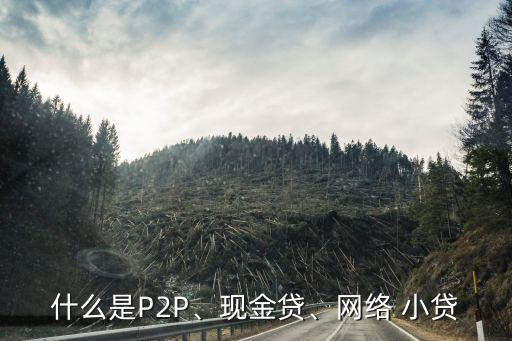 什么是P2P、現(xiàn)金貸、網(wǎng)絡(luò) 小貸