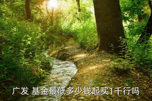 廣發(fā) 基金最低多少錢(qián)起買(mǎi)1千行嗎