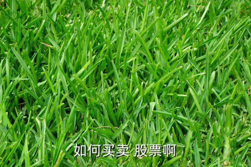 如何買賣 股票啊