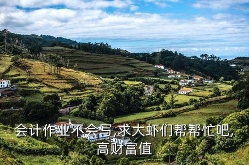 會計(jì)作業(yè)不會寫,求大蝦們幫幫忙吧,高財(cái)富值