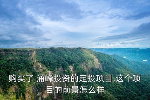 購買了 涌峰投資的定投項(xiàng)目,這個項(xiàng)目的前景怎么樣