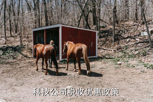 數(shù)字技術有限公司的增值稅,數(shù)字集團有限公司