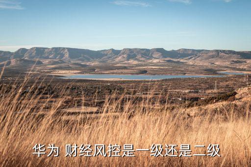  華為 財經(jīng)風(fēng)控是一級還是二級