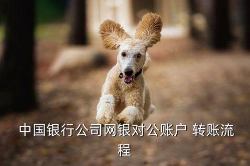  中國銀行公司網銀對公賬戶 轉賬流程