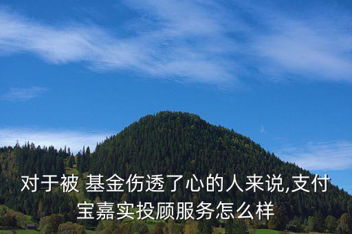 對(duì)于被 基金傷透了心的人來說,支付寶嘉實(shí)投顧服務(wù)怎么樣