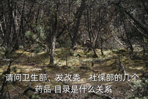 請(qǐng)問(wèn)衛(wèi)生部、發(fā)改委、社保部的幾個(gè) 藥品 目錄是什么關(guān)系