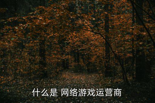 什么是 網(wǎng)絡(luò)游戲運營商