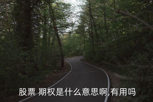  股票 期權是什么意思啊,有用嗎