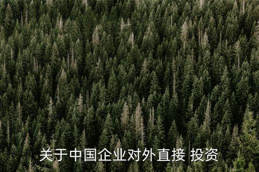 關于中國企業(yè)對外直接 投資