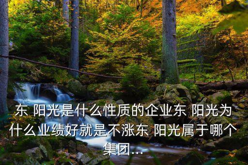 東 陽光是什么性質(zhì)的企業(yè)東 陽光為什么業(yè)績(jī)好就是不漲東 陽光屬于哪個(gè)集團(tuán)...