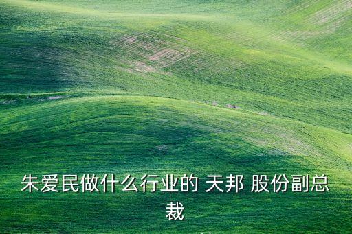 朱愛(ài)民做什么行業(yè)的 天邦 股份副總裁