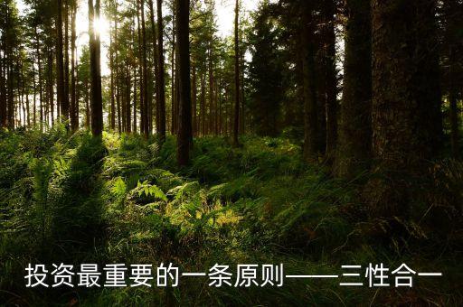 善境投資,善達投資怎么樣
