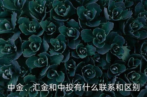 中金、匯金和中投有什么聯(lián)系和區(qū)別