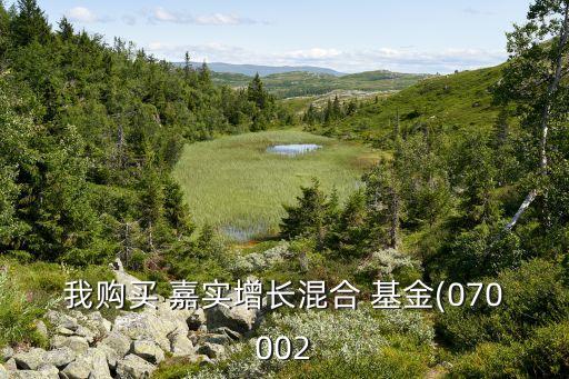 嘉實基金邵健離職,嘉實邵健基金 專戶