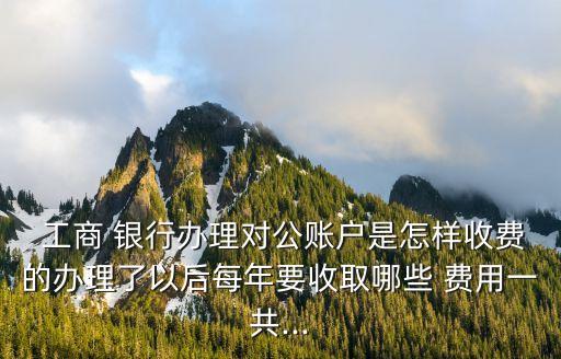  工商 銀行辦理對(duì)公賬戶(hù)是怎樣收費(fèi)的辦理了以后每年要收取哪些 費(fèi)用一共...