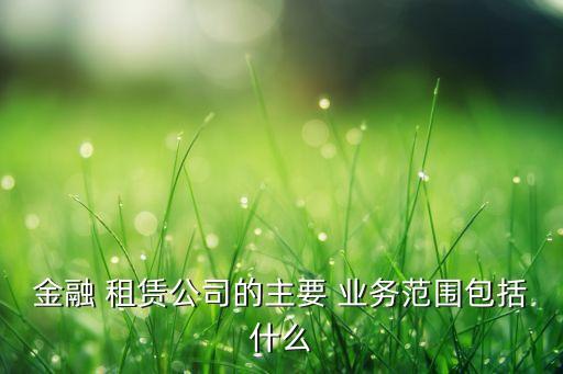 金融 租賃公司的主要 業(yè)務范圍包括什么