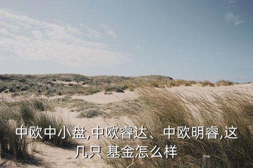 中歐中小盤,中歐睿達(dá)、中歐明睿,這幾只 基金怎么樣