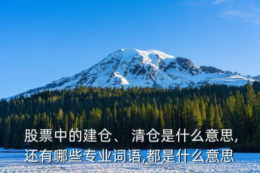  股票中的建倉、 清倉是什么意思,還有哪些專業(yè)詞語,都是什么意思