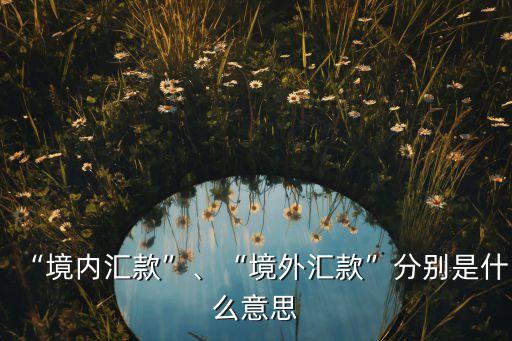 “境內(nèi)匯款”、“境外匯款”分別是什么意思