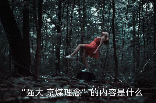 “強大 京煤理念”的內容是什么