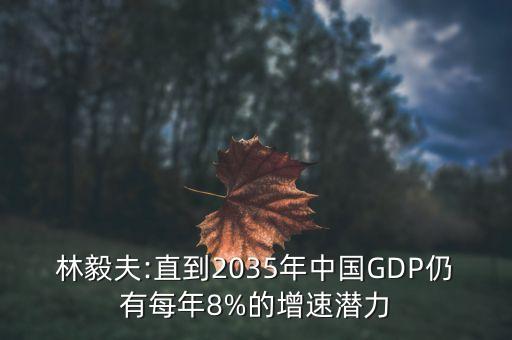 林毅夫:直到2035年中國(guó)GDP仍有每年8%的增速潛力