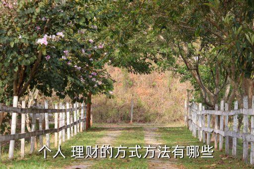 個(gè)人 理財(cái)?shù)姆绞椒椒ㄓ心男? class=