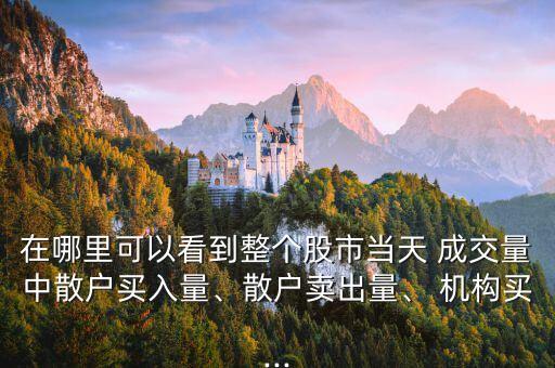 在哪里可以看到整個股市當(dāng)天 成交量中散戶買入量、散戶賣出量、 機構(gòu)買...