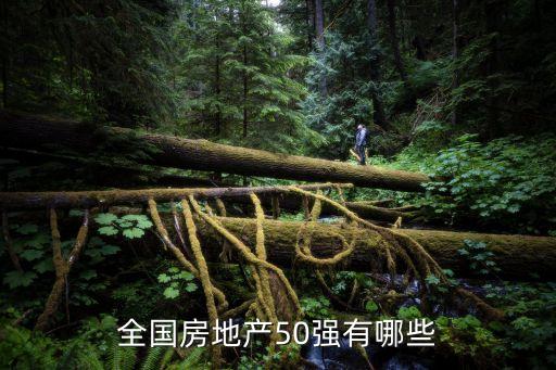 全國房地產50強有哪些
