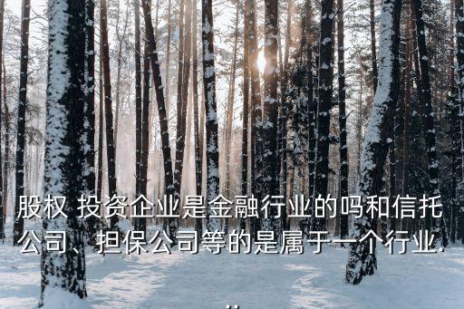 股權(quán) 投資企業(yè)是金融行業(yè)的嗎和信托公司、擔(dān)保公司等的是屬于一個(gè)行業(yè)...
