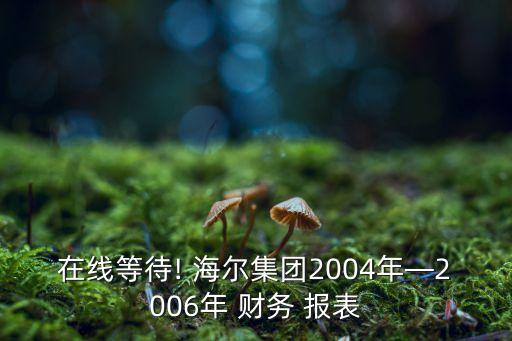 在線等待! 海爾集團(tuán)2004年—2006年 財務(wù) 報表