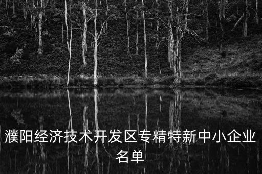 濮陽經(jīng)濟技術開發(fā)區(qū)專精特新中小企業(yè)名單