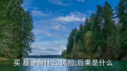 買(mǎi) 基金有什么 風(fēng)險(xiǎn),后果是什么