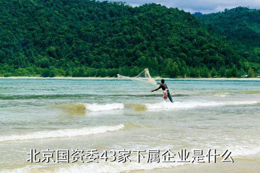 北京國(guó)資委43家下屬企業(yè)是什么