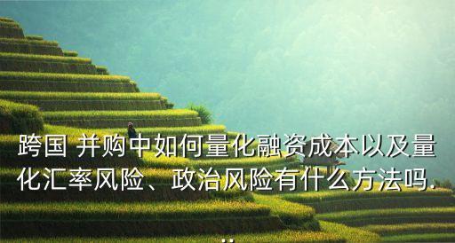 跨國 并購中如何量化融資成本以及量化匯率風(fēng)險(xiǎn)、政治風(fēng)險(xiǎn)有什么方法嗎...