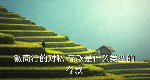  徽商行的對(duì)私 存款是什么類型的 存款
