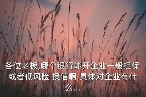 各位老板,哪個銀行能開企業(yè)一般擔(dān)?；蛘叩惋L(fēng)險 授信啊,具體對企業(yè)有什么...