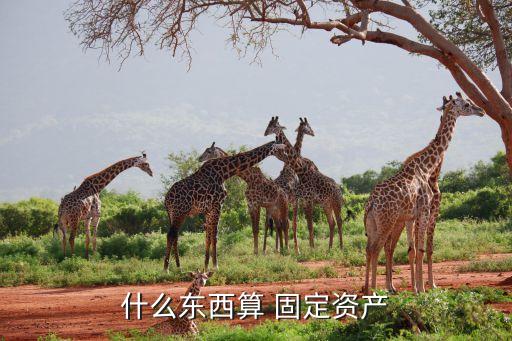 什么東西算 固定資產