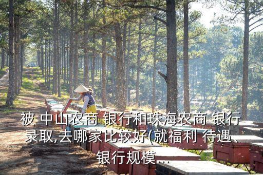 被 中山農(nóng)商 銀行和珠海農(nóng)商 銀行錄取,去哪家比較好(就福利 待遇、 銀行規(guī)模...